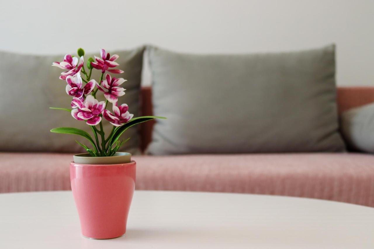 Apartament Astoria Rose Năvodari Zewnętrze zdjęcie